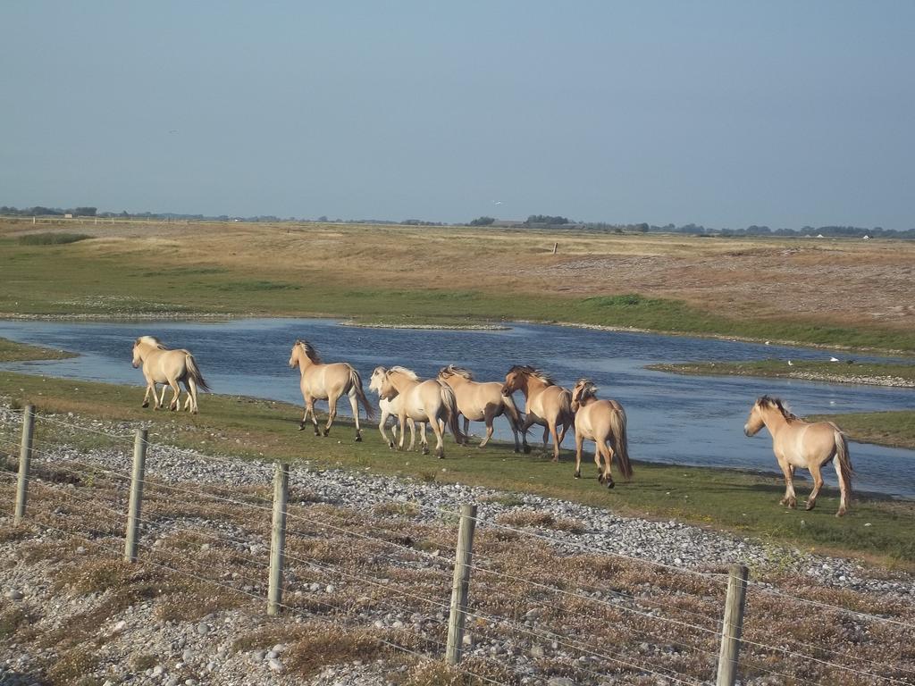 Camping Paradis Les Galets De La Molliere Cayeux-sur-Mer Zewnętrze zdjęcie