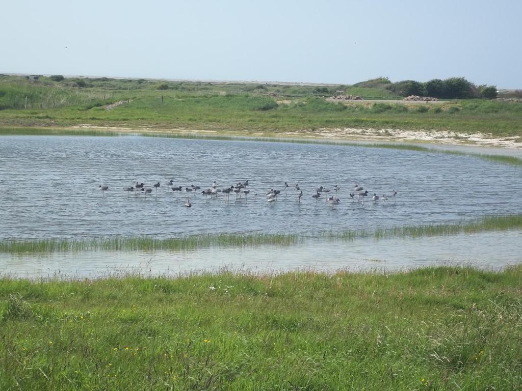 Camping Paradis Les Galets De La Molliere Cayeux-sur-Mer Zewnętrze zdjęcie